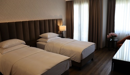 Habitación Deluxe con 2 camas individuales