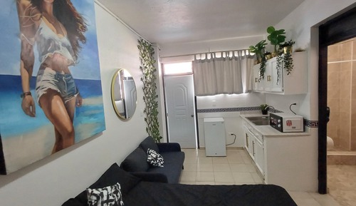 Suite estudio junior