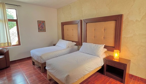 Habitación básica con 2 camas individuales, vistas al jardín