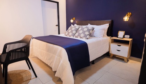 Habitación Business individual, vistas al jardín