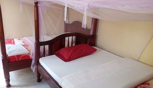 Habitación básica doble, vistas al jardín
