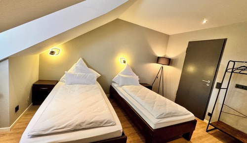 Habitación Confort con 1 cama doble o 2 individuales