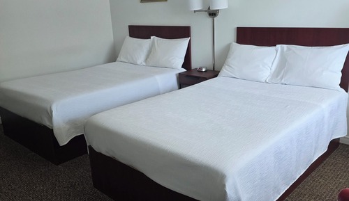Habitación estándar con 1 cama doble o 2 individuales, 2 camas dobles, vistas al jardín