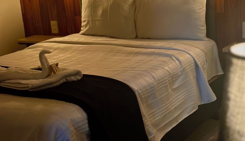 Habitación estándar con 1 cama doble o 2 individuales