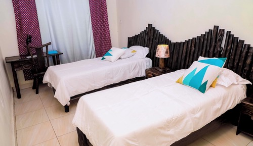 Habitación ejecutiva con 2 camas individuales