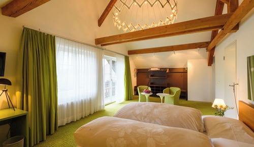 Suite estudio junior, vistas al jardín