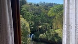 Superior Suite, Garden View