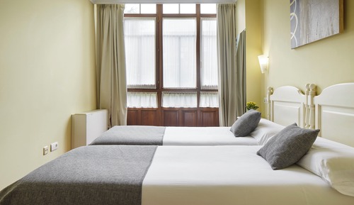 Habitación básica con 1 cama doble o 2 individuales