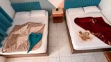 Habitación estándar doble, vistas a la piscina