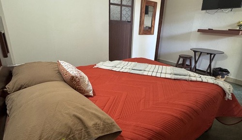 Estudio Confort, patio, vistas al jardín