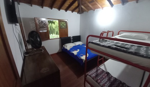 Habitación cuádruple básica, vistas al jardín