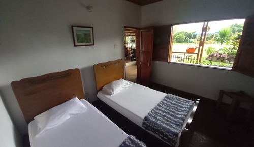 Habitación básica con 1 cama doble o 2 individuales, vistas al jardín