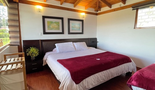 Suite Deluxe, vistas al jardín