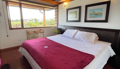 Suite Deluxe, vistas al jardín