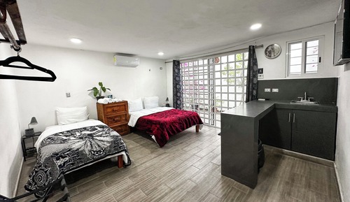 Habitación estándar, vistas al jardín