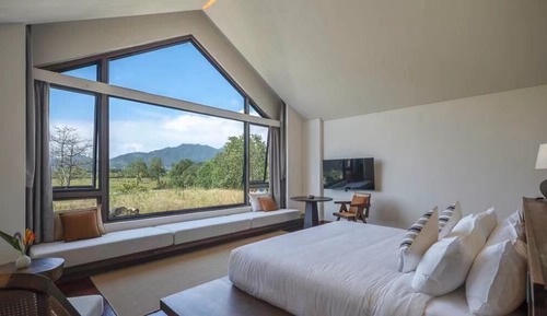 Suite estudio Signature