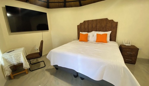 Habitación individual Premium