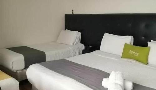Basic Double Room