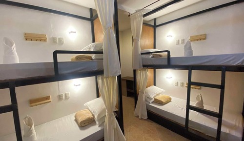 Habitación cuádruple estándar