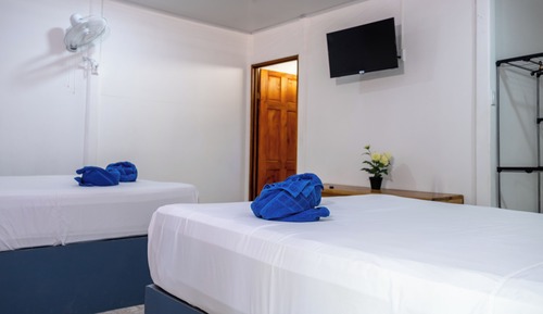 Apartamento estándar, vistas al jardín