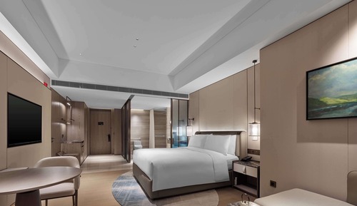 Habitación básica, 1 cama de matrimonio grande