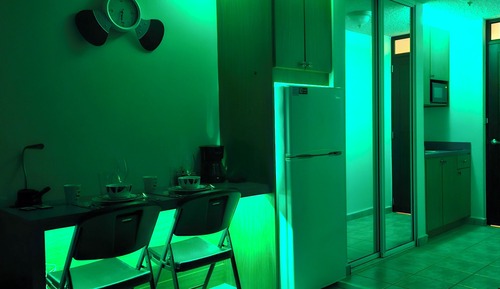 Basic Apartment
