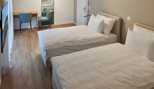 Habitación estándar con 1 cama doble o 2 individuales