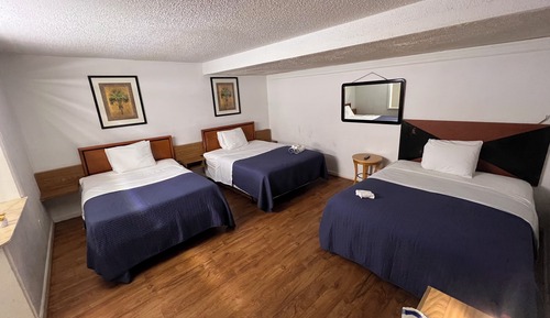 Habitación individual estándar