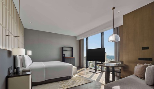 Habitación básica, 1 cama de matrimonio grande