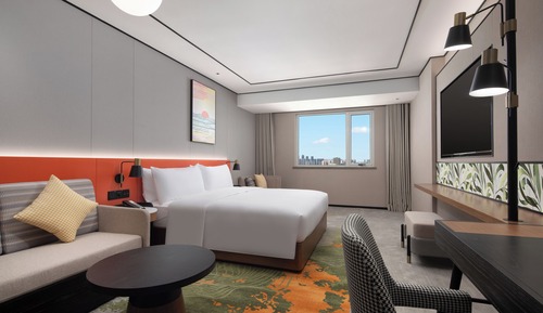 Habitación básica, 1 cama de matrimonio grande