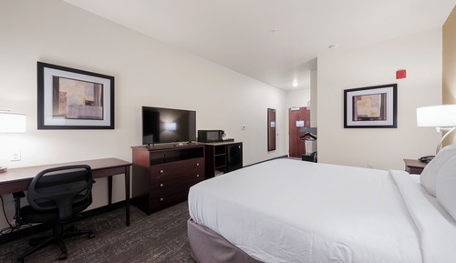 Habitación, accesible para personas con discapacidad, no fumadores (Single King Guestroom)