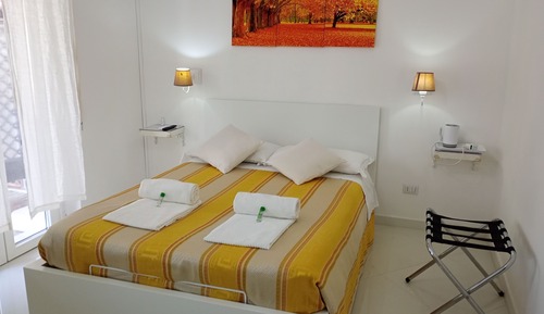 Habitación individual básica, vistas al jardín
