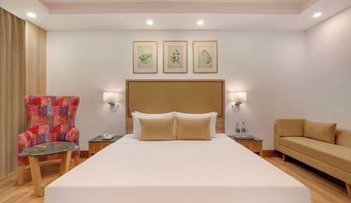Suite estudio superior