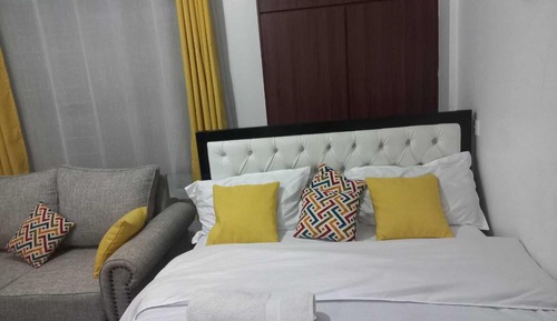 Suite Estudio Business