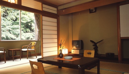 Habitación básica, no fumadores, vistas a la montaña