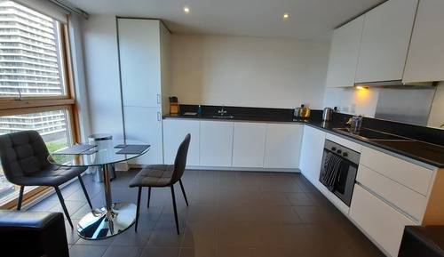 Apartamento estándar, 1 habitación, vistas a la ciudad (1403)