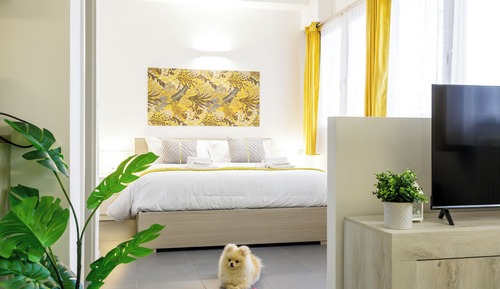 Apartamento superior, 1 cama de matrimonio con sofá cama, baño privado