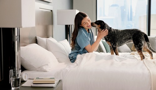 Suite, 1 cama de matrimonio grande con sofá cama, cocina