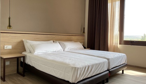 Habitación estándar con 2 camas individuales