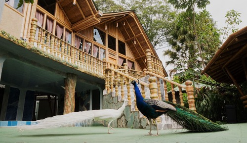 Cabaña Royal, 2 camas de matrimonio