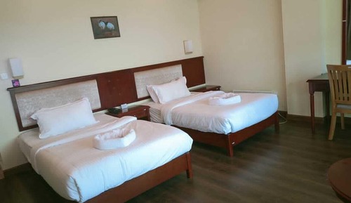 Habitación estándar con 1 cama doble o 2 individuales