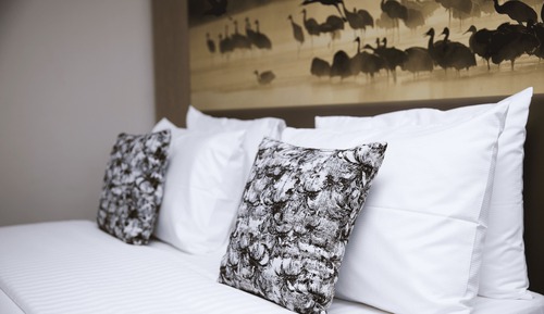 Suite Deluxe