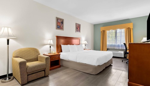 Habitación estándar, 1 cama de matrimonio grande, no fumadores