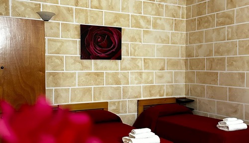 Standard Studio Suite 14