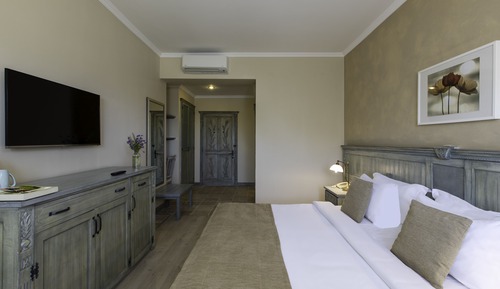 Habitación Deluxe con 1 cama doble o 2 individuales, terraza, vistas al jardín