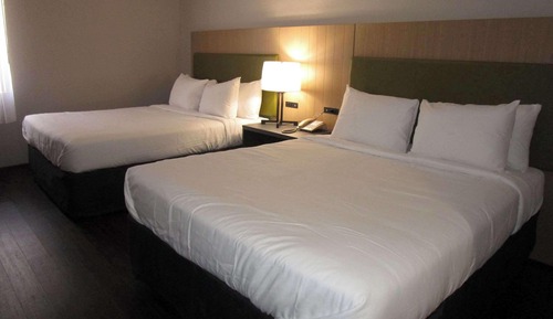 Habitación estándar, 2 camas de matrimonio, no fumadores