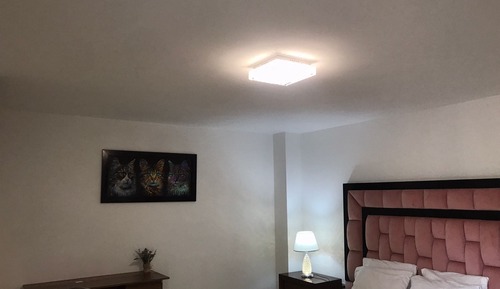 Suite estándar