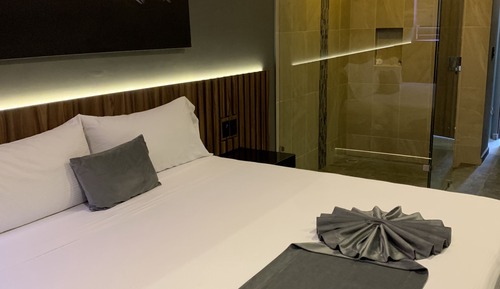 Habitación básica, 1 cama de matrimonio grande