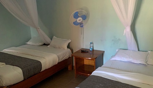 Habitación ejecutiva con 1 cama doble o 2 individuales