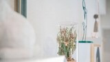 Basic Apartment